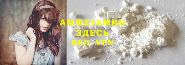индика Беломорск