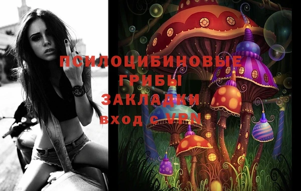 индика Беломорск