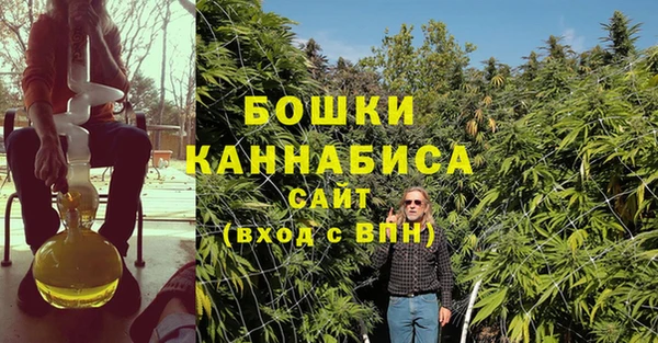 индика Беломорск