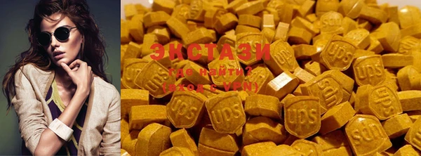 индика Беломорск