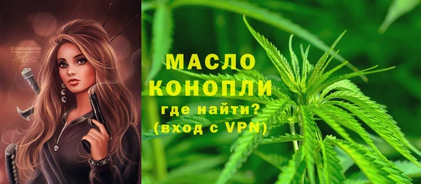 индика Беломорск