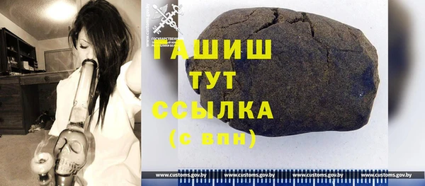 индика Беломорск
