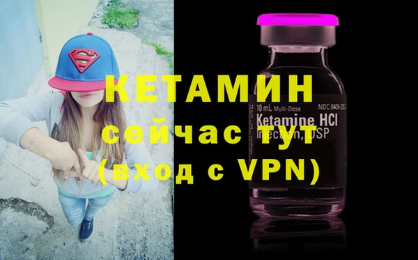 индика Беломорск
