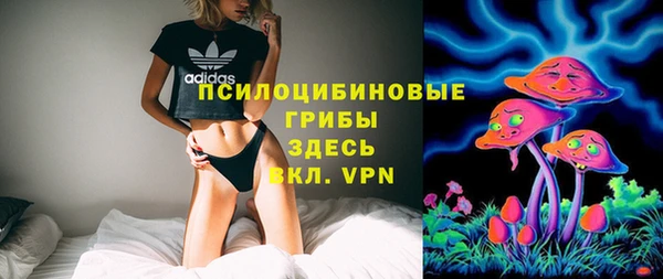 соль ск Белокуриха