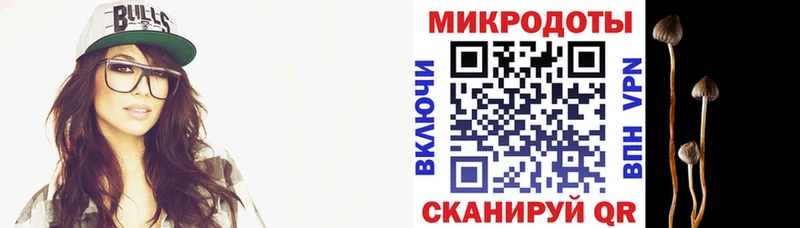 Псилоцибиновые грибы Cubensis Кстово